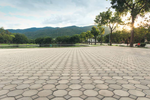 Best Residential Driveway Paver Services  in Elwood, NY